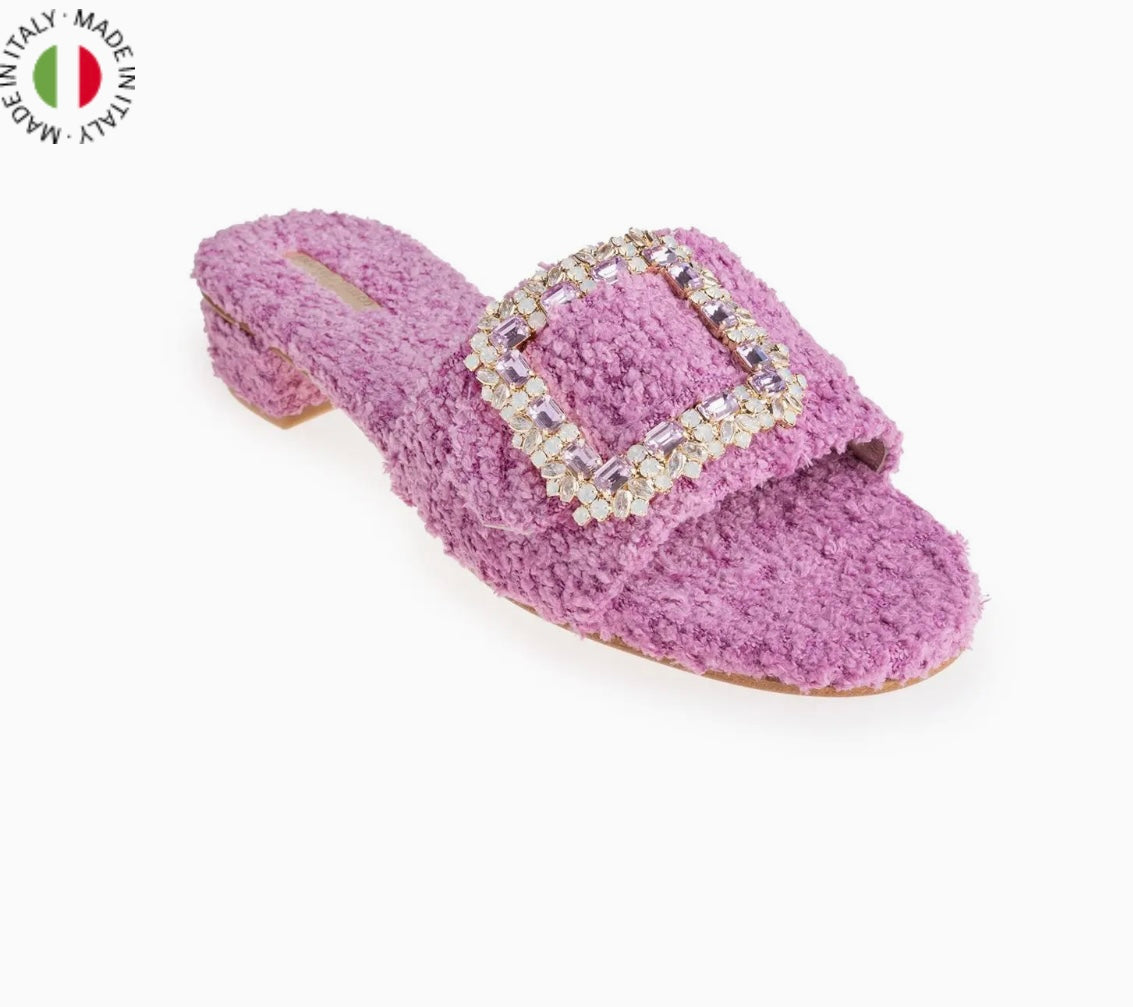 Slipper Violet
