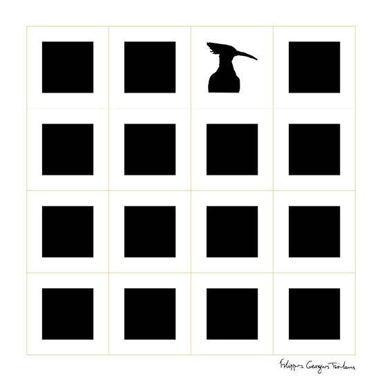 Silk Scarf - "Hoopoe/The Black Square of Imagination" bandana square 52